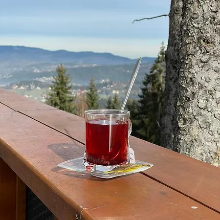 Hotel Planinska Kraljica - Ravna Planina - Pale