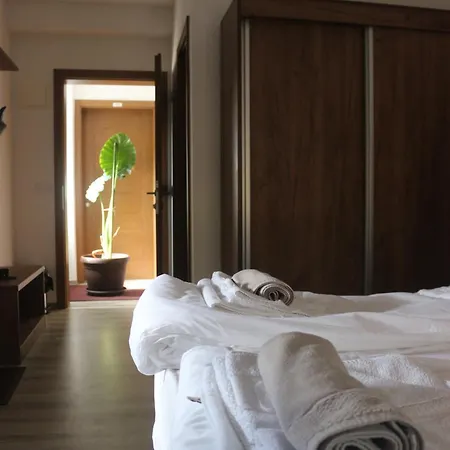 Planinska Kraljica - Ravna Planina - Pale Hotel *