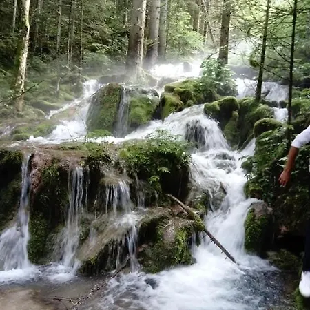 Planinska Kraljica Jahorina - Pale Hotel *