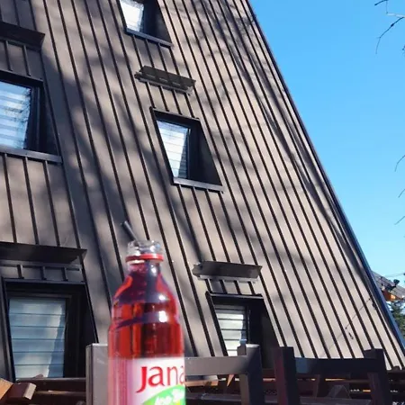 Hotel Planinska Kraljica Jahorina - Pale