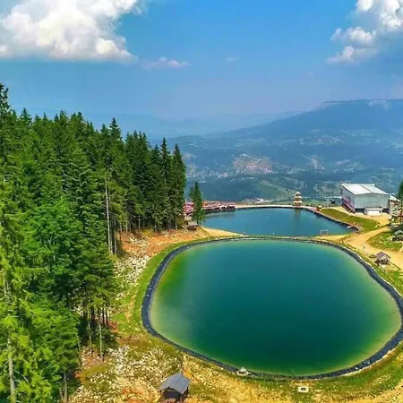 Planinska Kraljica - Ravna Planina - Pale