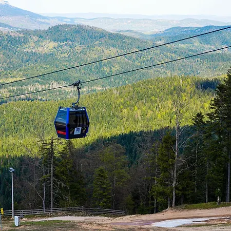 فندق Planinska Kraljica - Ravna Planina - Pale Gornje Pale