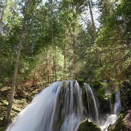 Planinska Kraljica - Ravna Planina - Pale فندق Gornje Pale